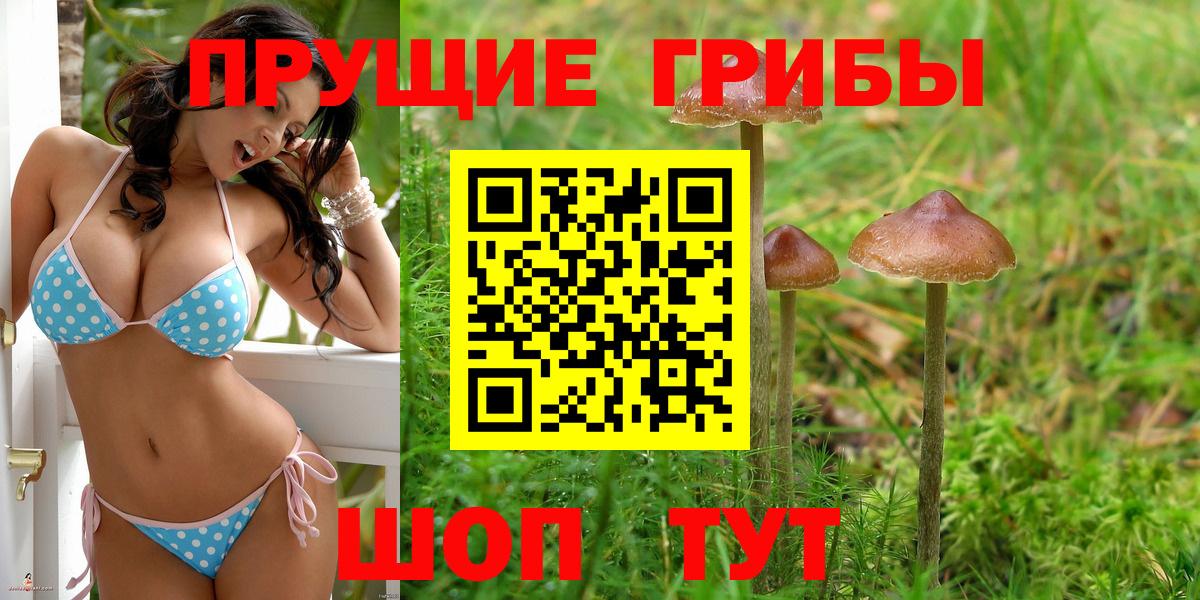 Галлюциногенные грибы Magic Shrooms Реж