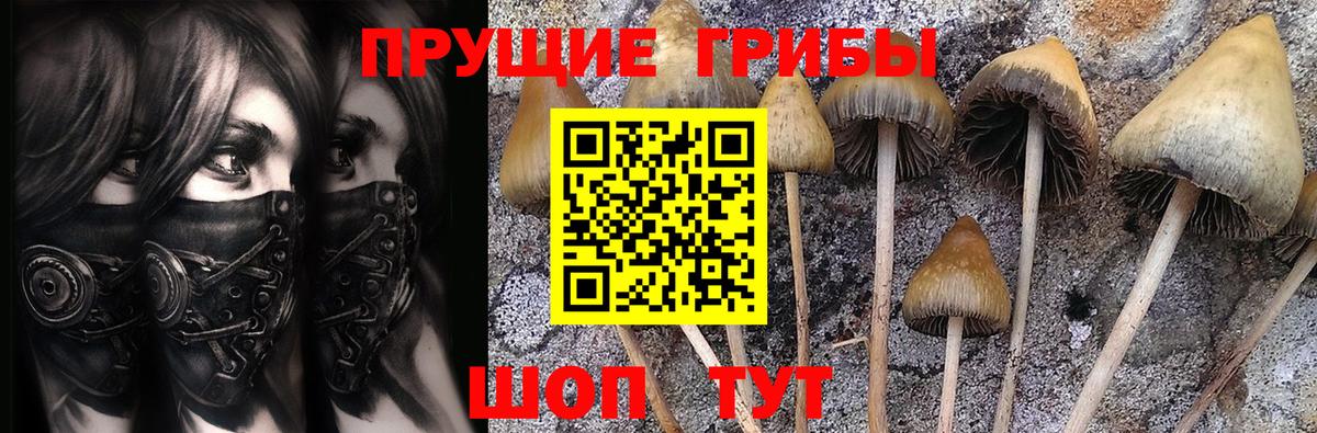 где купить   Галлюциногенные грибы мицелий  Вход с VPN  Галлюциногенные грибы мухоморы  Реж 